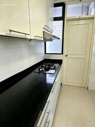 Tanglin Park (D10), Condominium #596204251